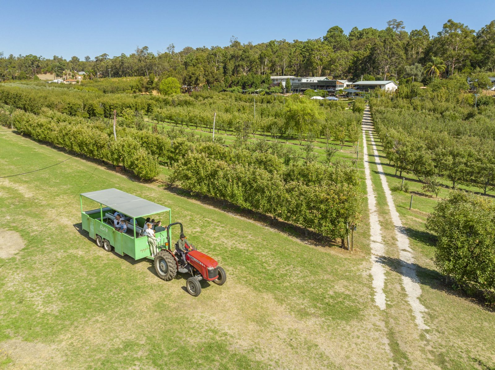 Fruit Picking Core Cider Tours